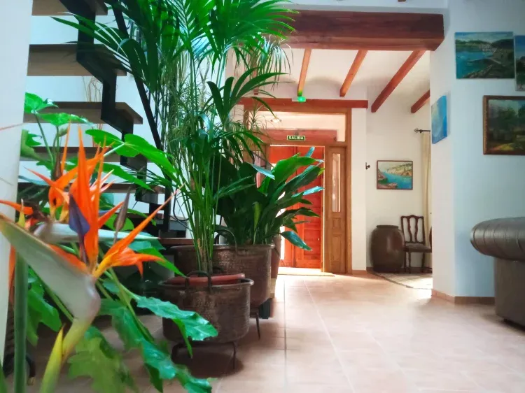 Imagen de Entrada