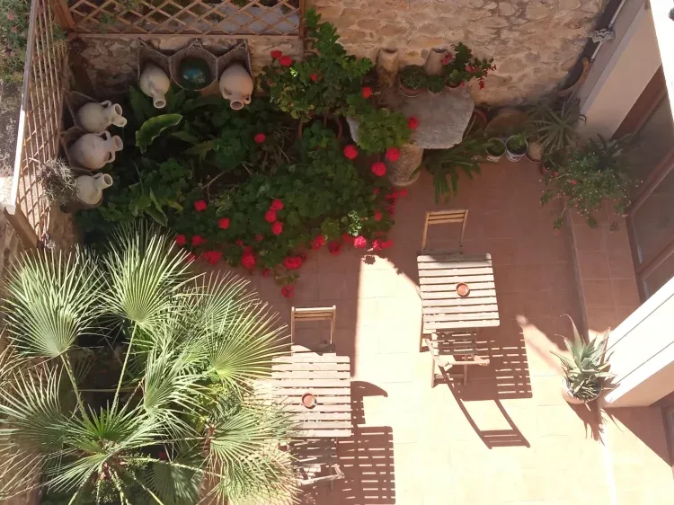 Imagen de Patio