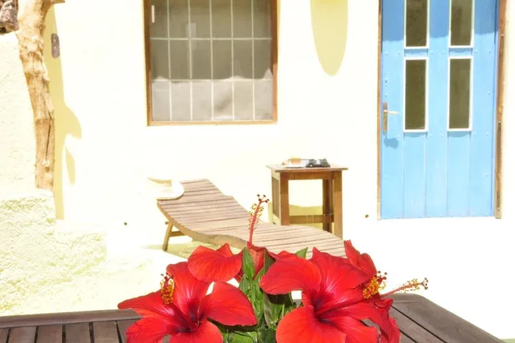 Imagen de Casa Zen - Terraza