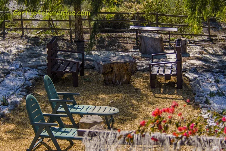 Imagen de Jardin