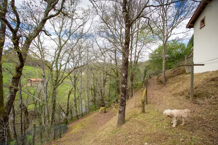 Imagen de Bajada al río