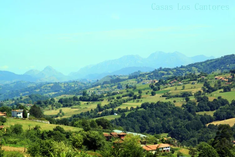 Imagen de Vistas desde las Casas