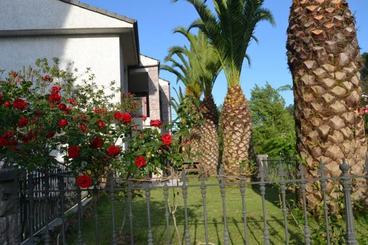 Imagen de terrazas en zona verde