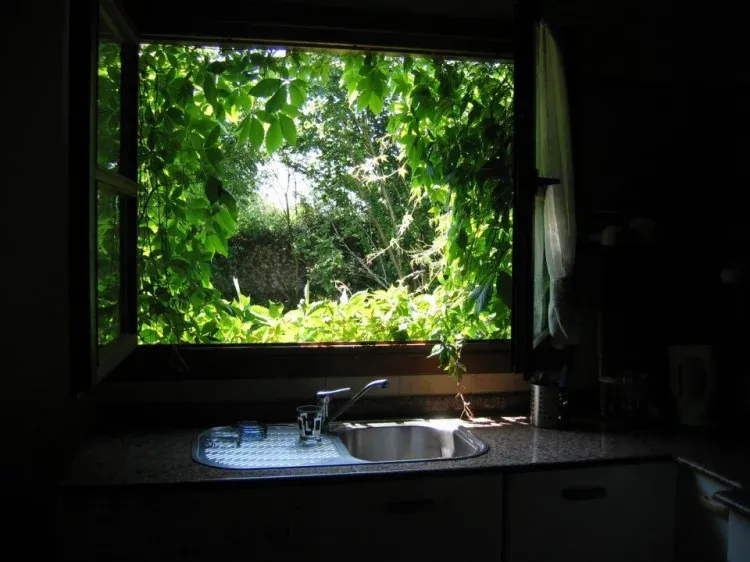 Imagen de Casa Tere