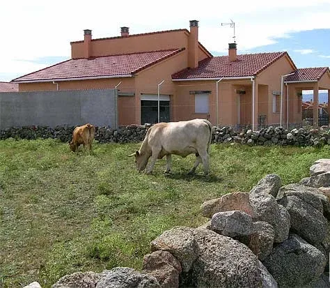 Imagen de Fachada posterior
