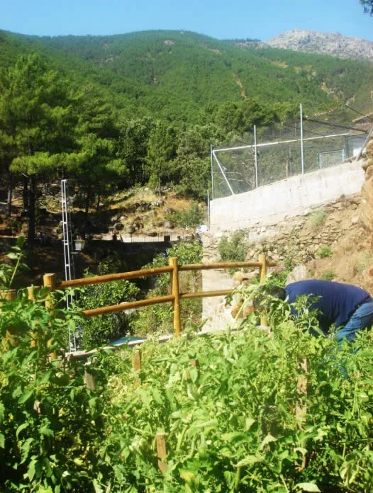 Imagen de El huerto