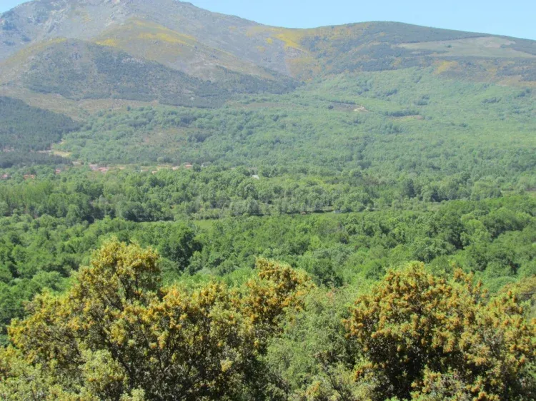 Imagen de Sierra de Gredos ven a conocerla en la casa rural la Piedra del Mediodía de Gredos