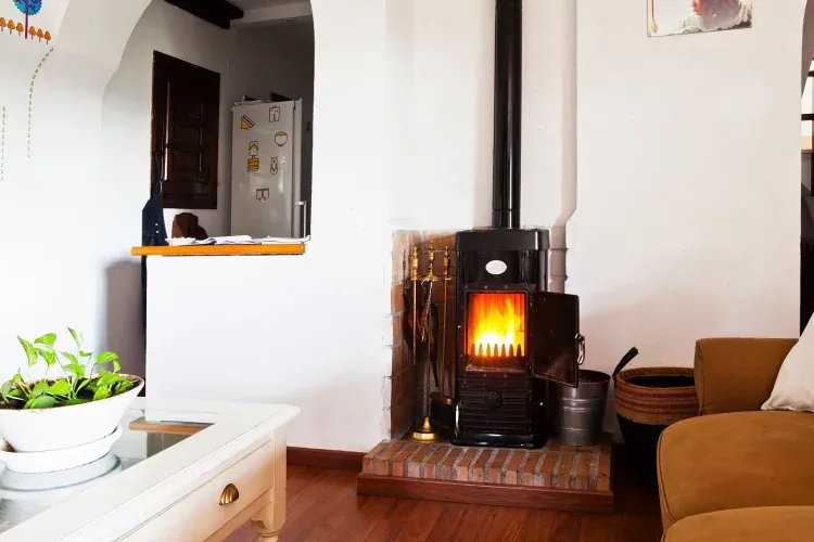 Imagen de La chimenea del salón