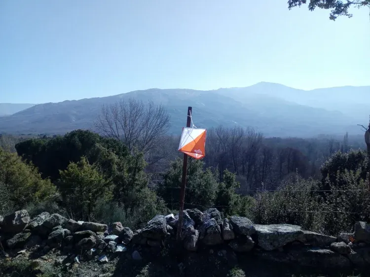 Imagen de Teresa 1