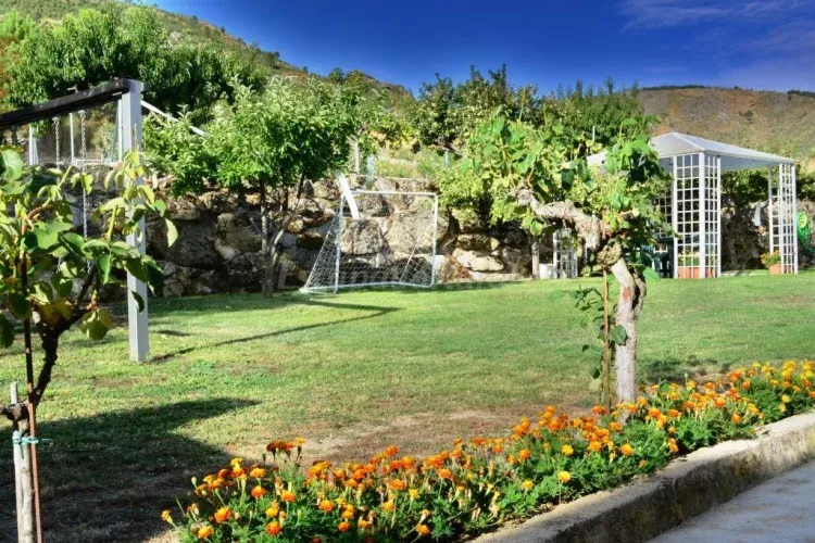 Imagen de Jardín zona cenador