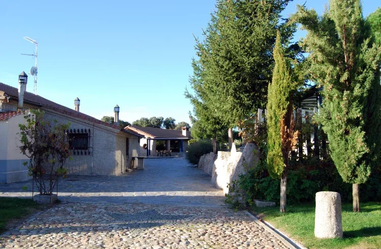 Imagen de Vista jardin