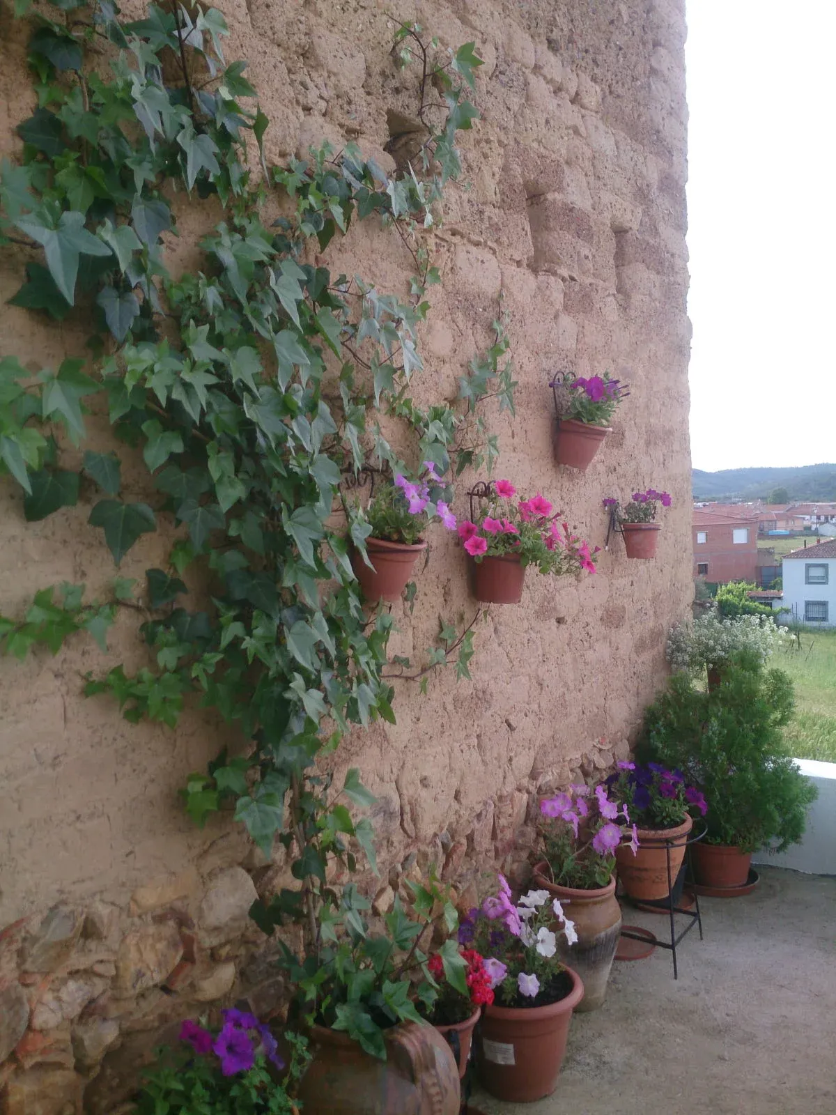 Imagen de Abuela cristina: patio
