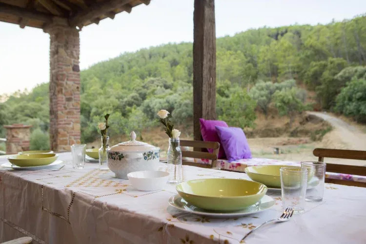 Imagen de Terraza principal con vistas a la finca