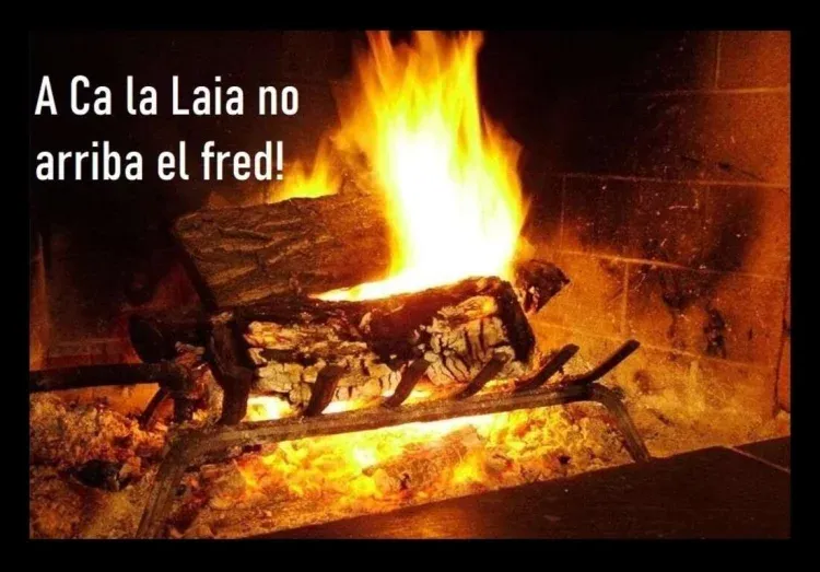 Imagen de Invierno en Ca La Laia