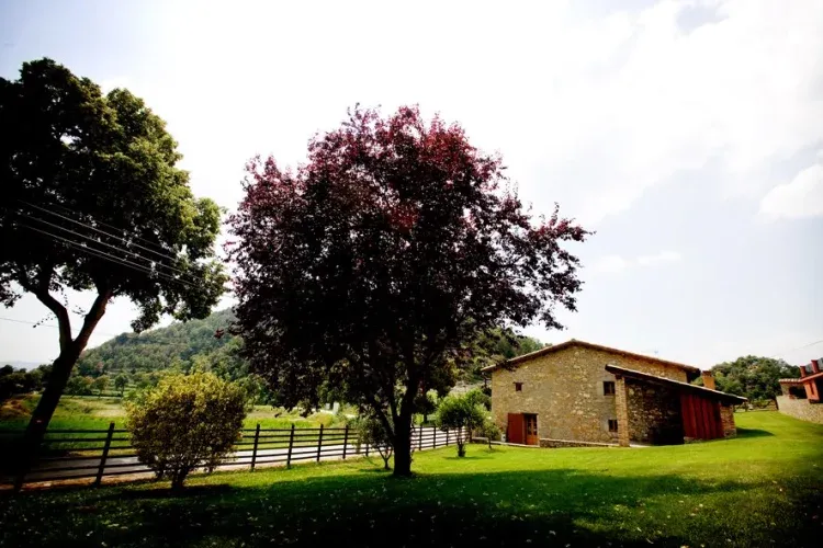 Imagen de Can Cisquet y su jardín