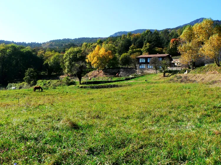 Imagen de Casa de Dalt Vista de los campos
