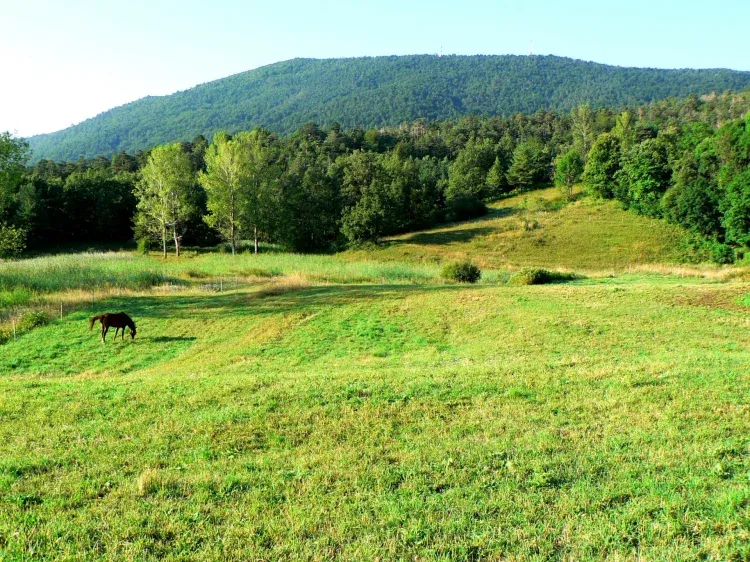 Imagen de Casa de Dalt Pasto de los caballos