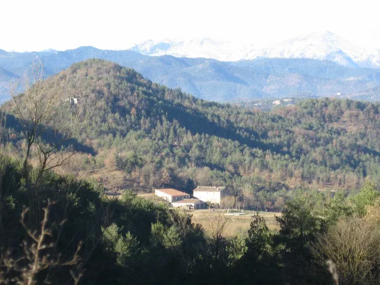 Imagen de Situación, en mediio de la naturaleza