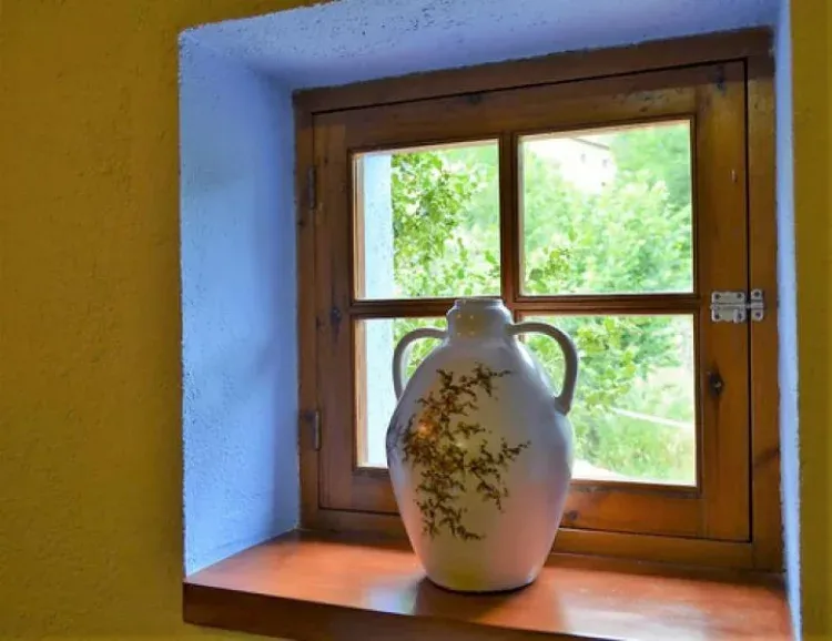 Imagen de Detalle