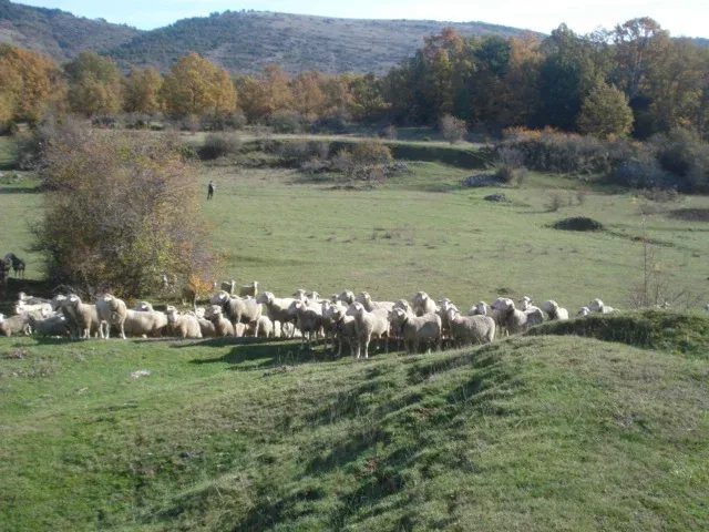 Imagen de Paisaje