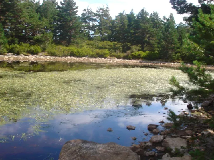 Imagen de Las Hoyas paraje natural