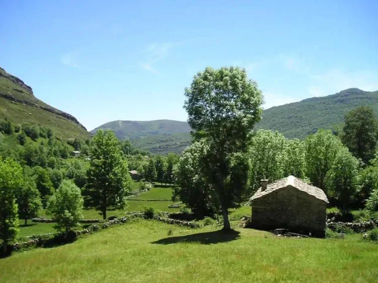 Imagen de PRADO Y CABAÑA