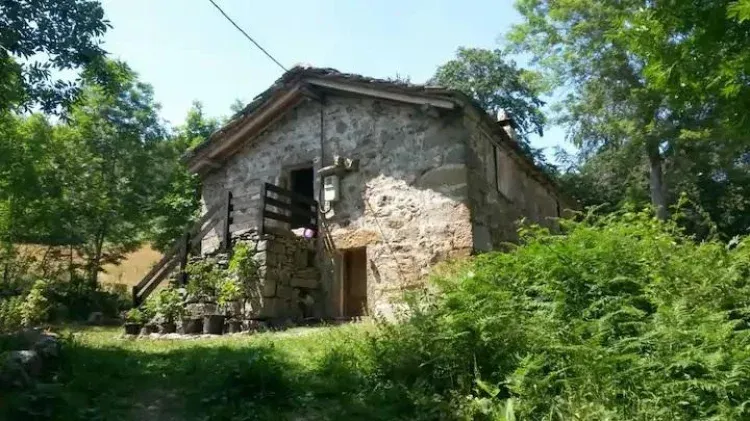 Imagen de ENTRADA CABAÑA