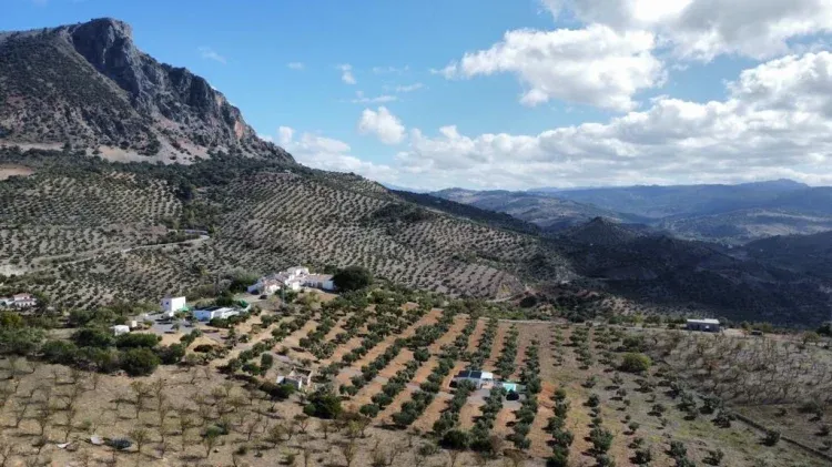 Imagen de CORDILLERA 1 Y 2