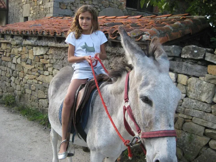 Imagen de paseos en burro