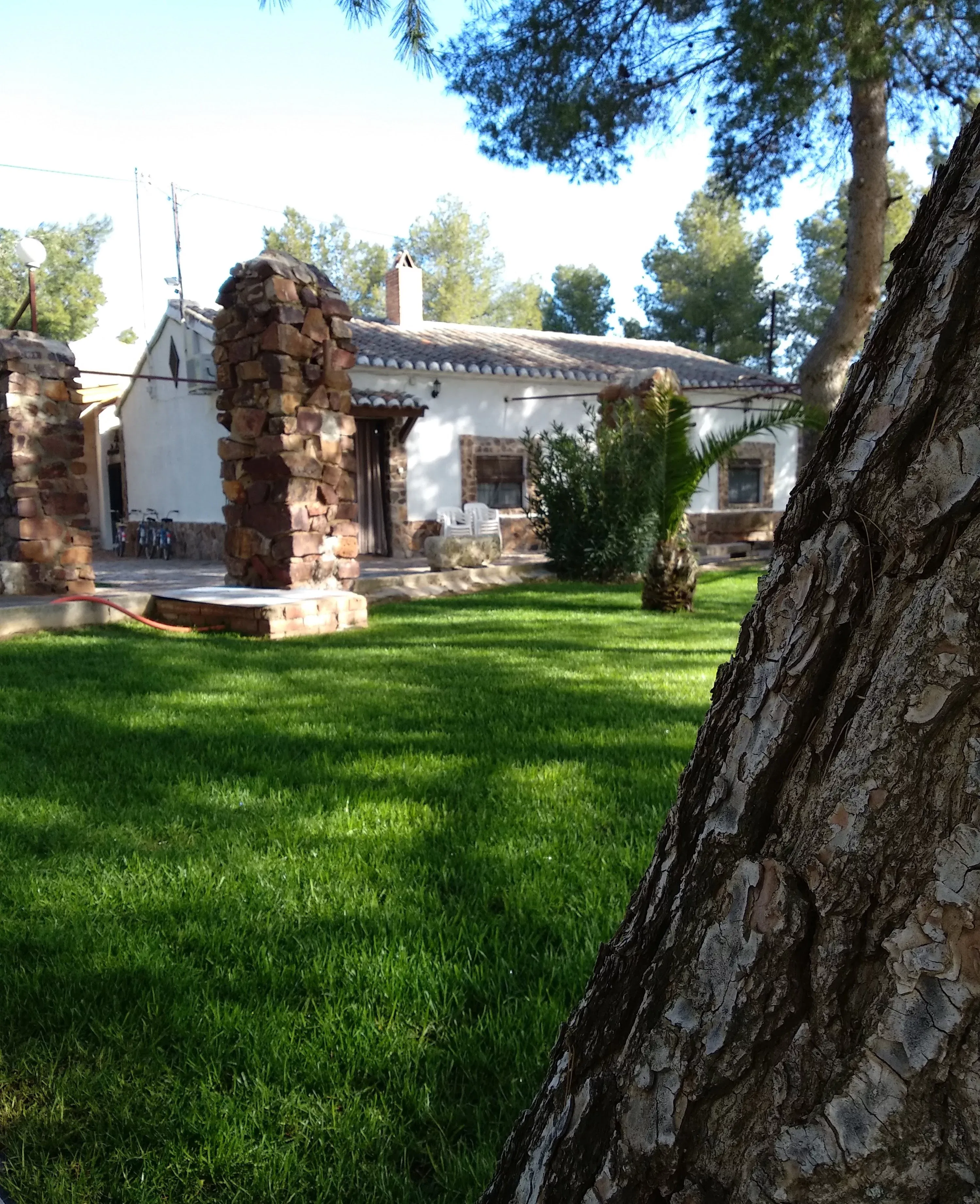 Imagen de Jardín exterior