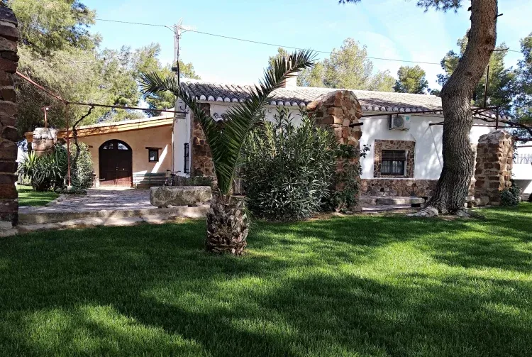 Imagen de jardín exterior