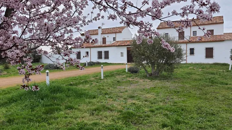 Imagen de Casa rural huerta cabañeros