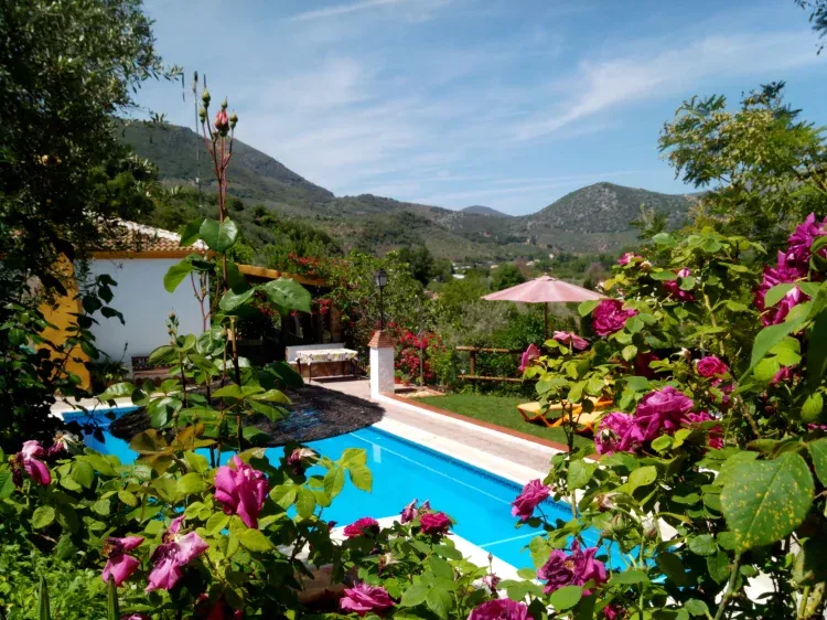 Imagen de paisaje