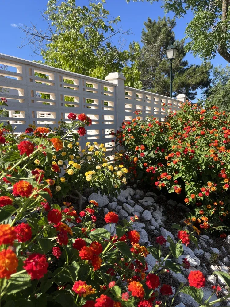 Imagen de Jardin