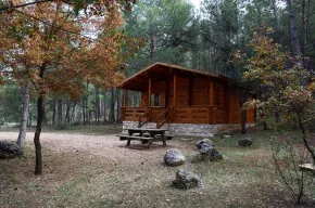 Imagen de El Llano de los Conejos