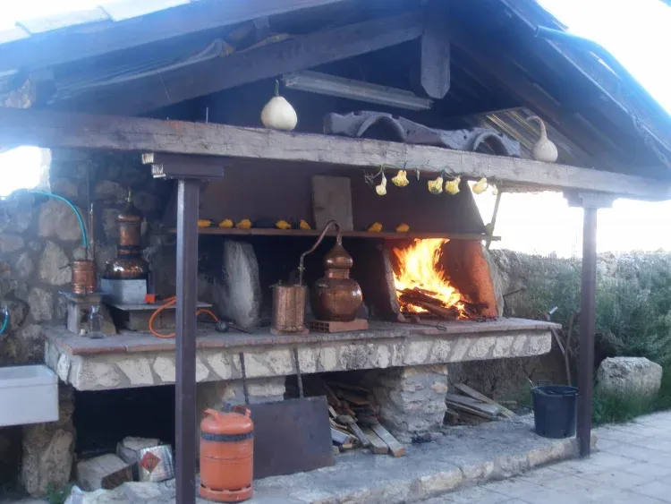 Imagen de Patio