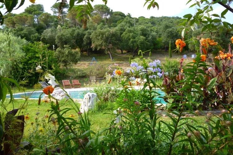 Imagen de El jardín y la piscina en julio