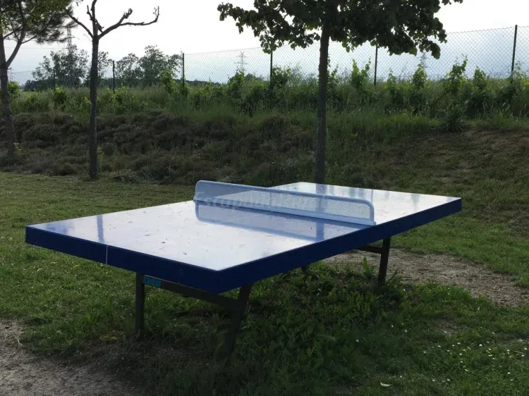 Imagen de Mesa de ping pong