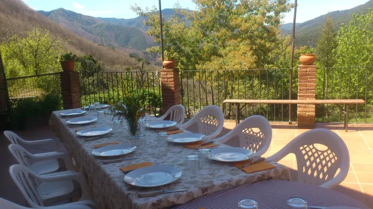 Imagen de Terraza