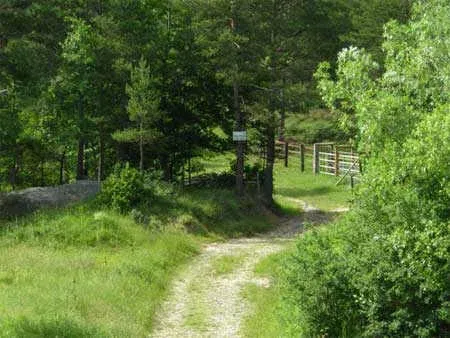 Imagen de Hay muchas excursiones a realizar desde nuestra casa