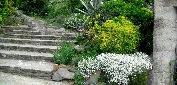 Imagen de Jardín
