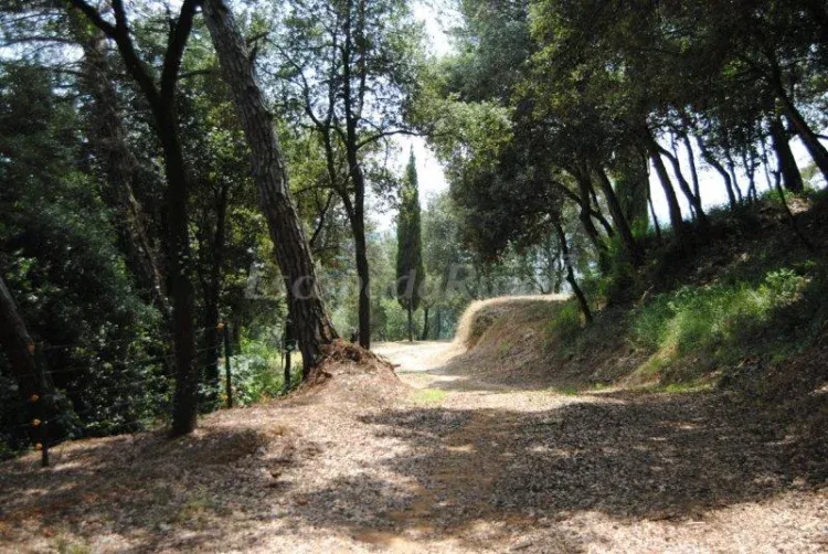Imagen de camino entrada