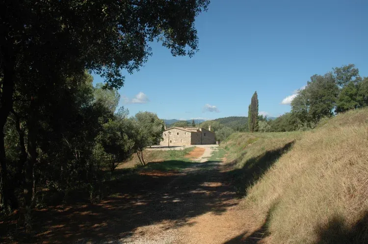 Imagen de finca