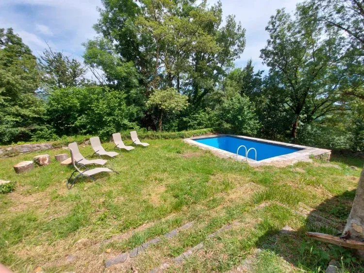 Imagen de Jardín y piscina