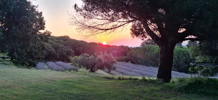 Imagen de Vista desde la pergola