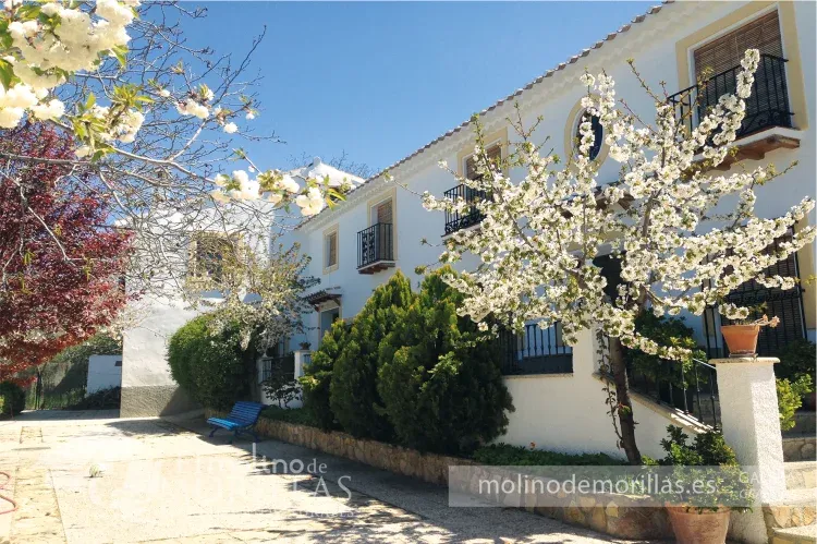 Imagen de Fachada princiapel de los apartamentos