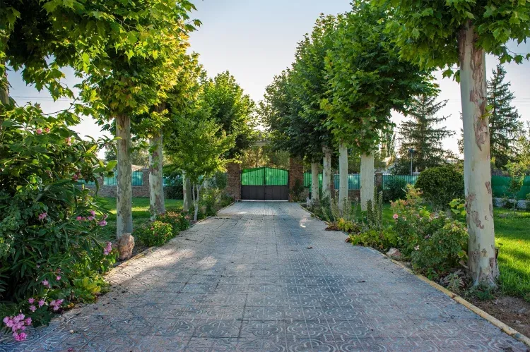 Imagen de ENTRADA 