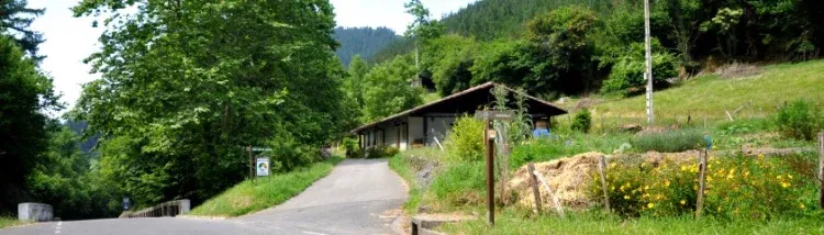Imagen de Entrada a Goikola, vista del apartamento.