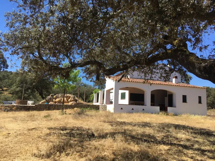 Imagen de Fachada