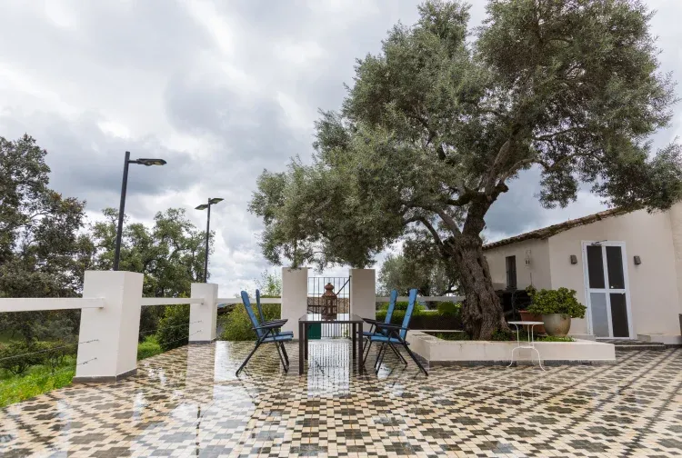 Imagen de patio